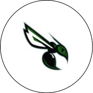 little falls logo